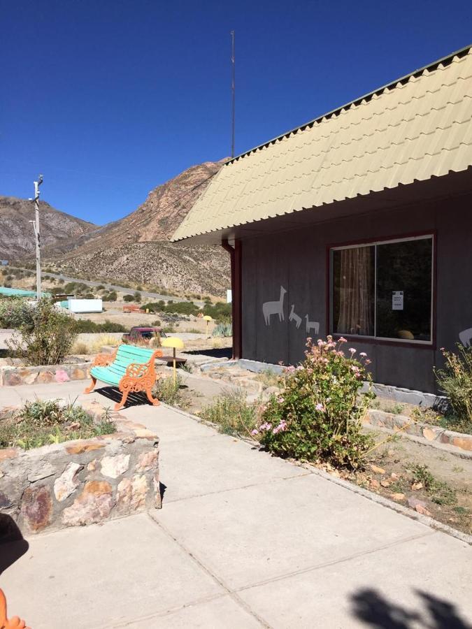 Hotel Las Vicunas Putre Exterior foto